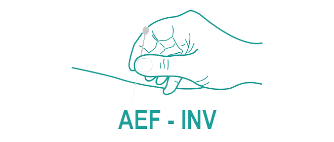 AEF-INV