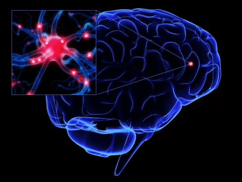 Plasticidad y Neuromodulacion percutanea